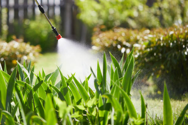 24/7 Emergency Mosquito Control experts in Sullivan Gardens, TN